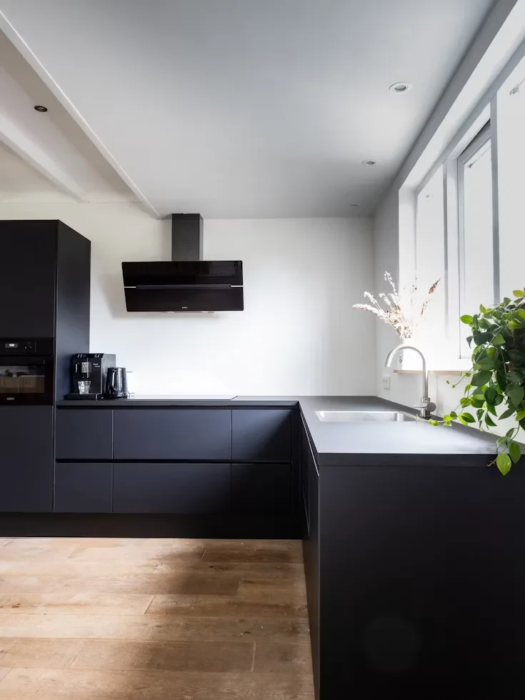 Modern Minimalist Kitchen